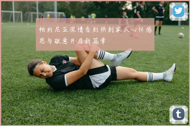 帕利尼亚深情告别热刺家人心怀感恩与敬意开启新篇章