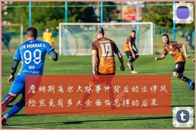詹姆斯高尔夫球事件背后的法律风险究竟有多大会面临怎样的后果